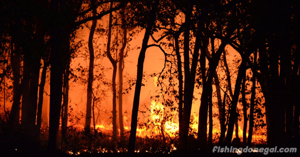 ไฟป่าเพิ่มขึ้น ทั่วภาคตะวันออกของสหรัฐฯ